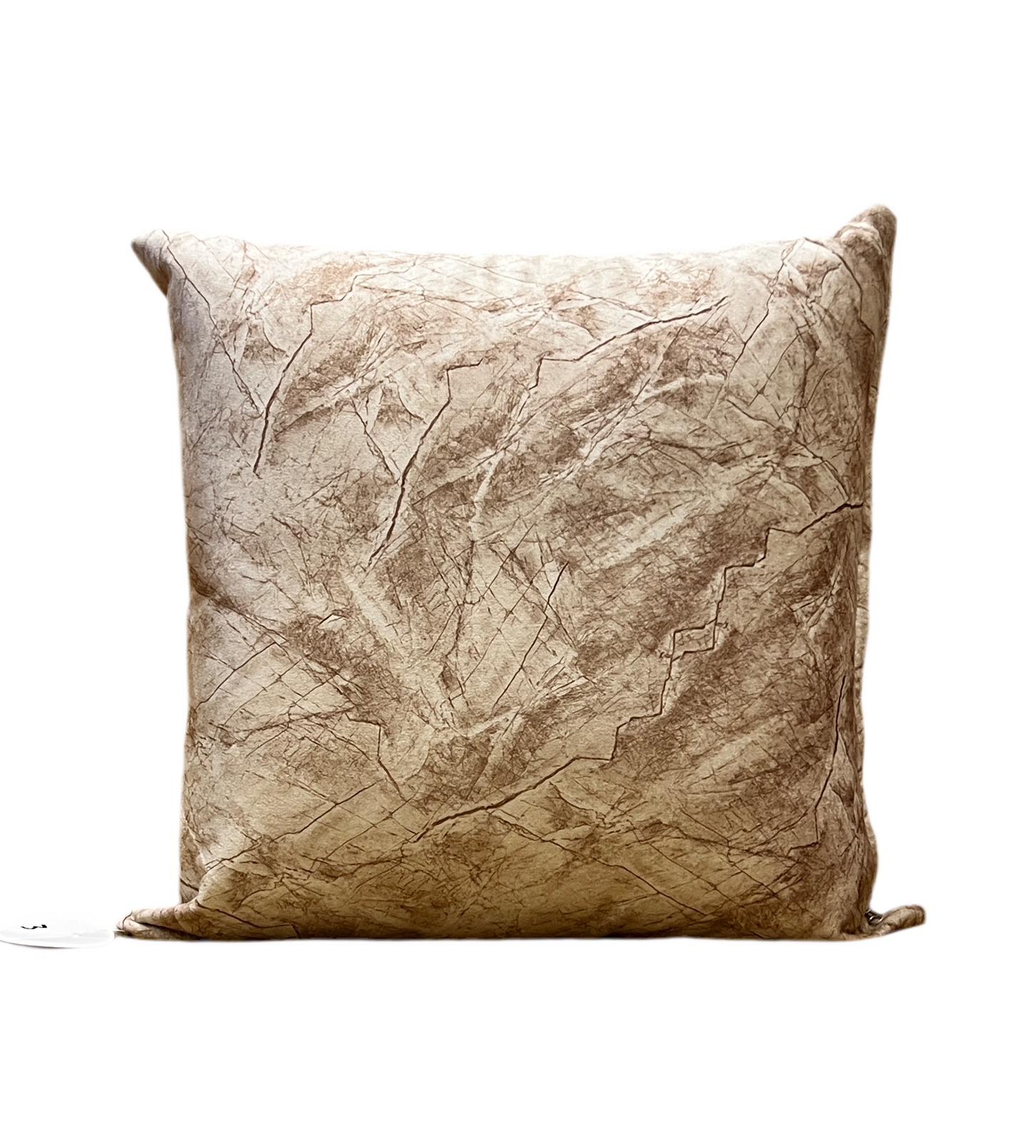 Beige Wood pattern Cushion